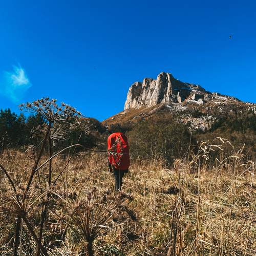 Photo #9742619