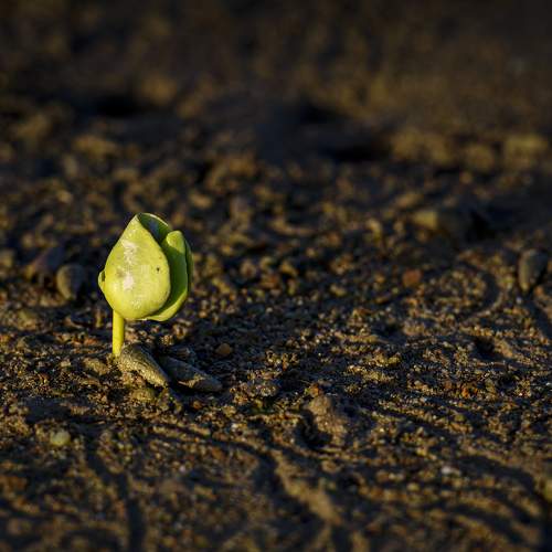 Photo #9742699
