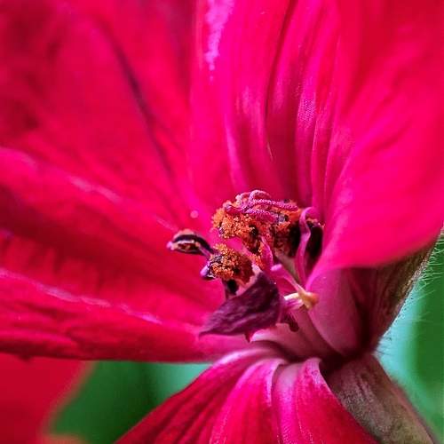 Photo #9742731