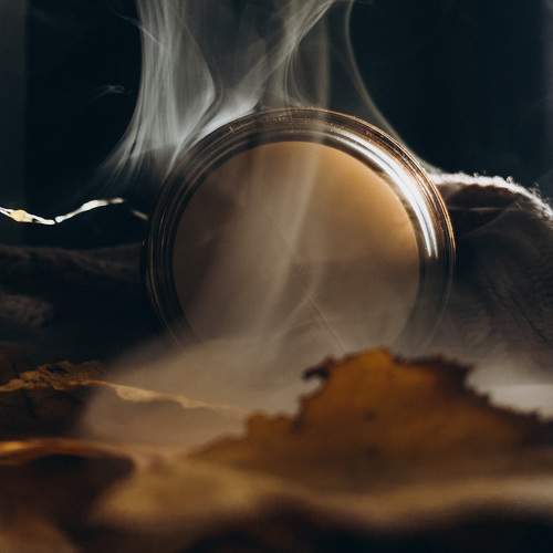 Photo #9742984
