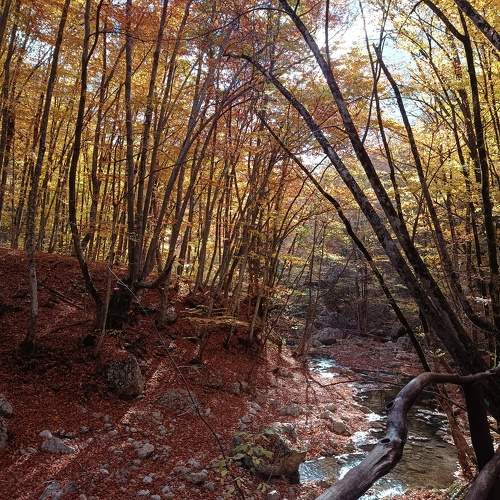 Photo #9743383