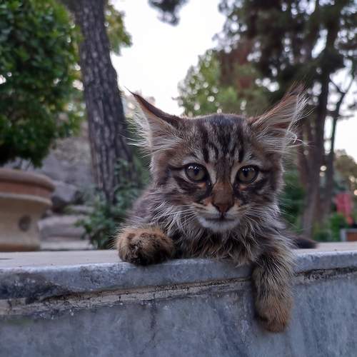 Photo #9743838