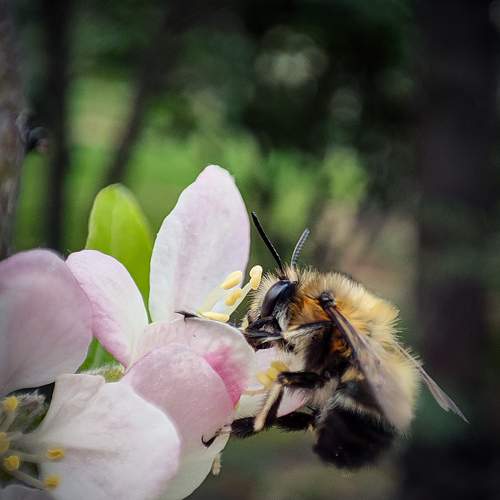 Photo #9743859