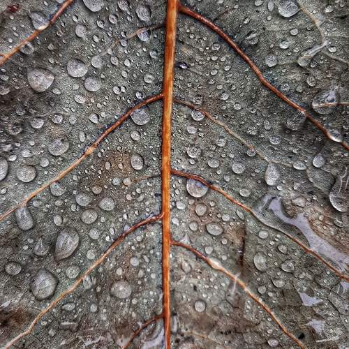 Photo #9744002