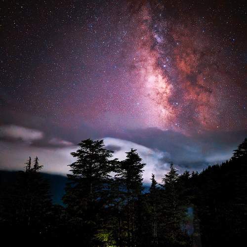 Photo #9744355