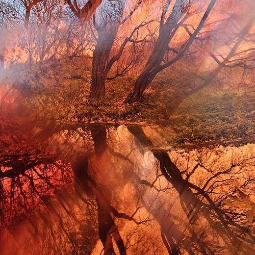 Photo #9744418