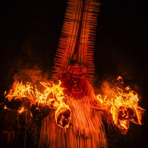 Photo #9744465
