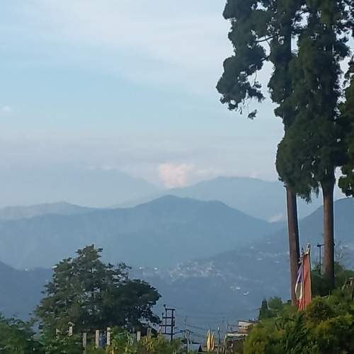 Photo #9744560