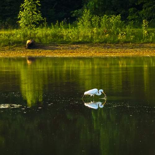 Photo #9745047