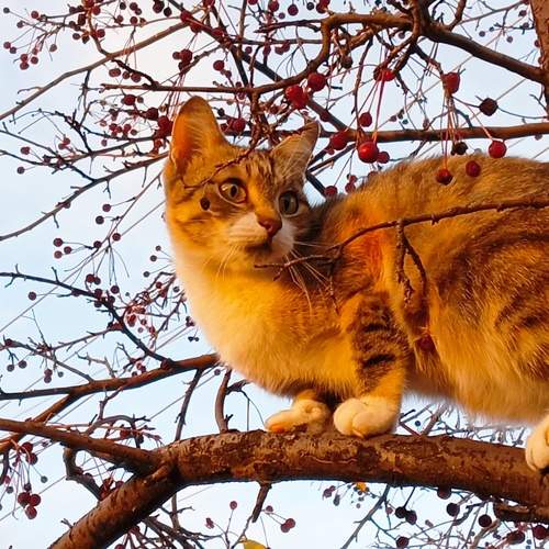 Photo #9745154