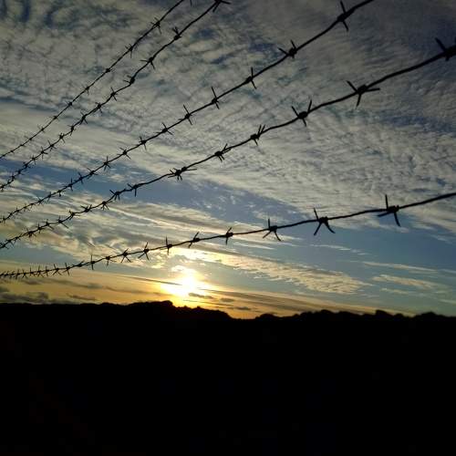 Photo #9745363