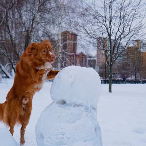 Photo #9745668