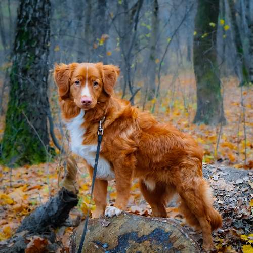 Photo #9745678