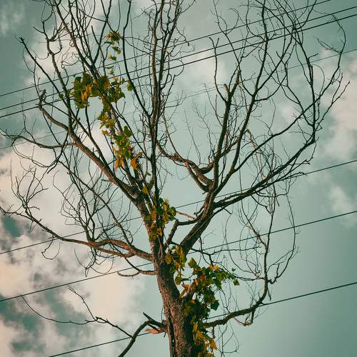 Photo #9745749