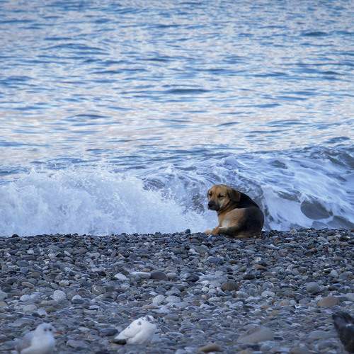 Photo #9746012