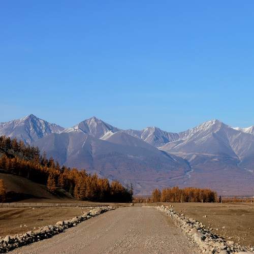 Photo #9746100