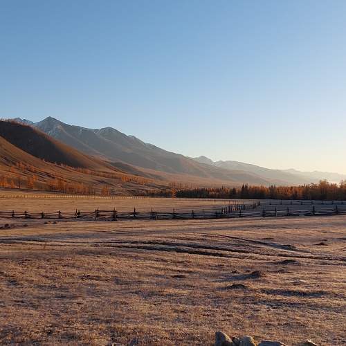 Photo #9746132