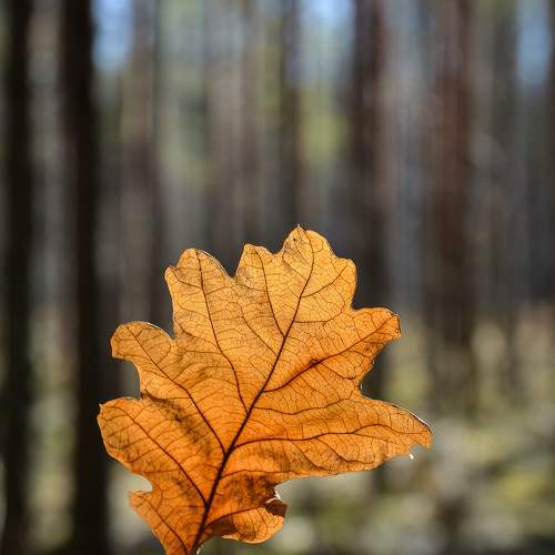 Photo #9746285