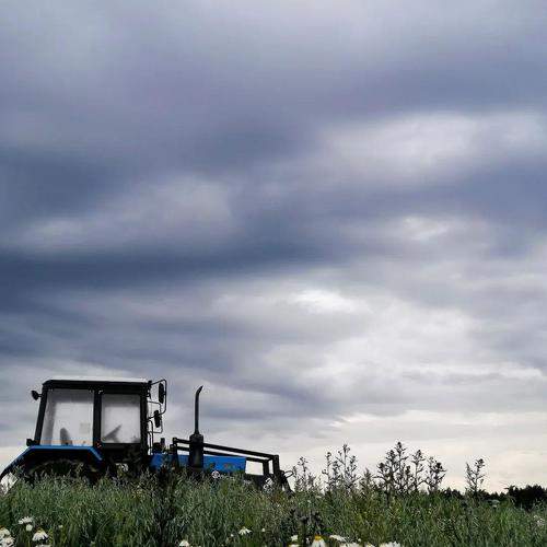 Photo #9746489