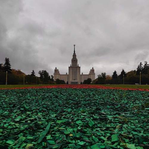 Photo #9746493