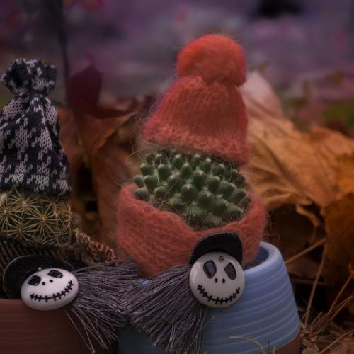 Photo #9746495