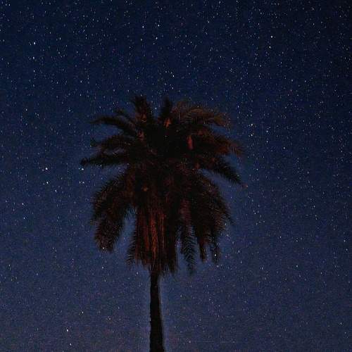 Photo #9747288