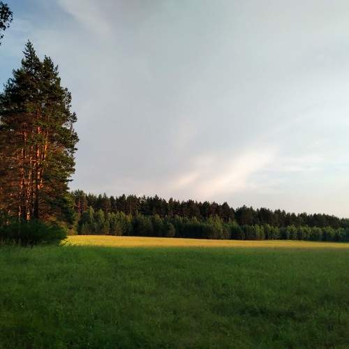 Photo #9747495