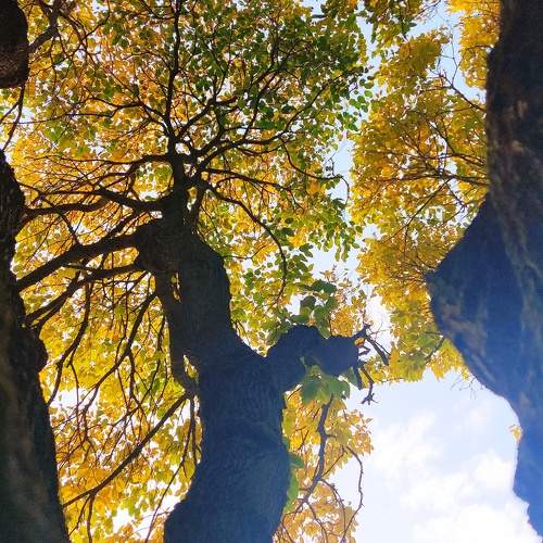 Photo #9747596