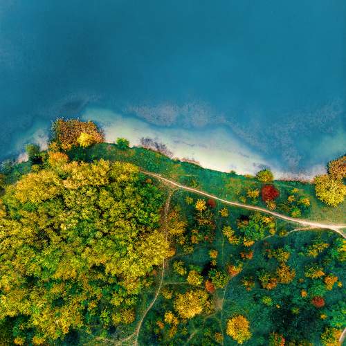 Photo #9748004