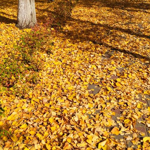 Photo #9748472