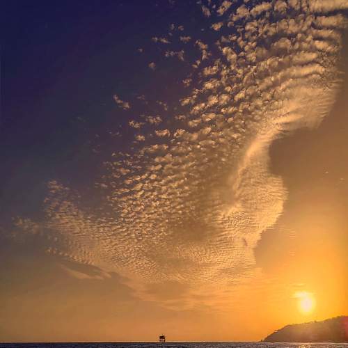 Photo #9748581