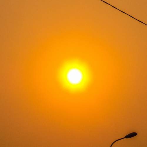 Photo #9748654