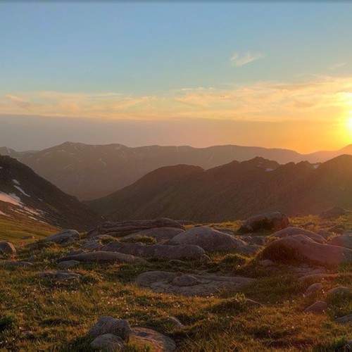 Photo #9748780
