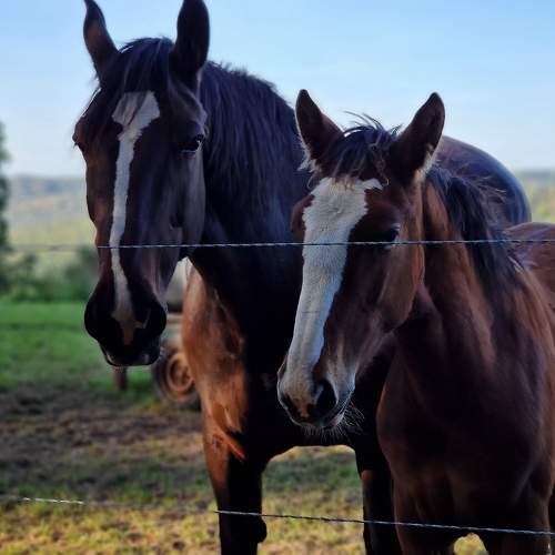 Photo #9748846