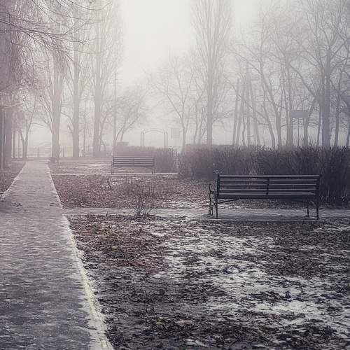 Photo #9749561