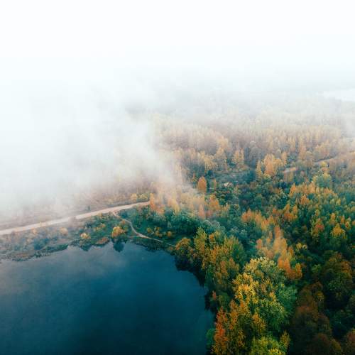Photo #9749684