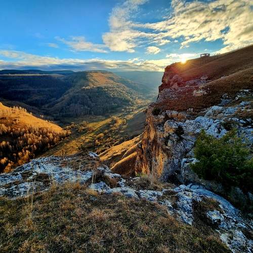 Photo #9749702