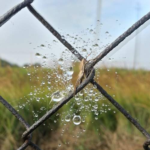 Photo #975545