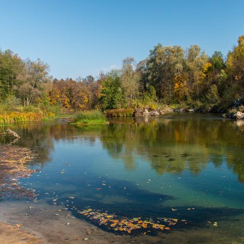 Осень в марийских лесах