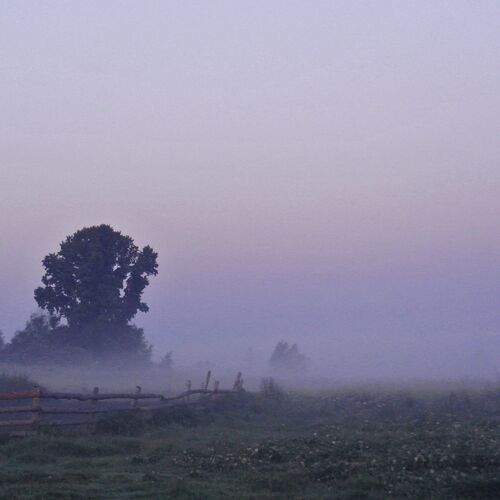 Photo #977603