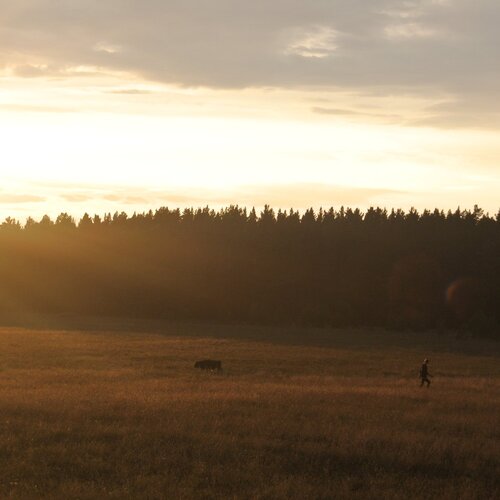Photo #977609