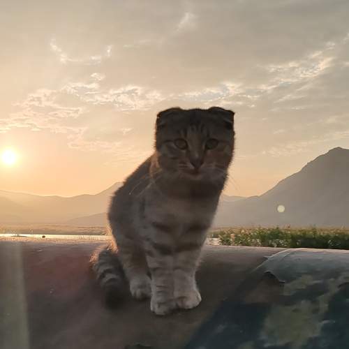 Photo #9750076