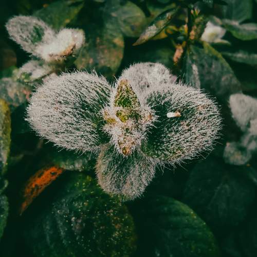 Photo #9750261