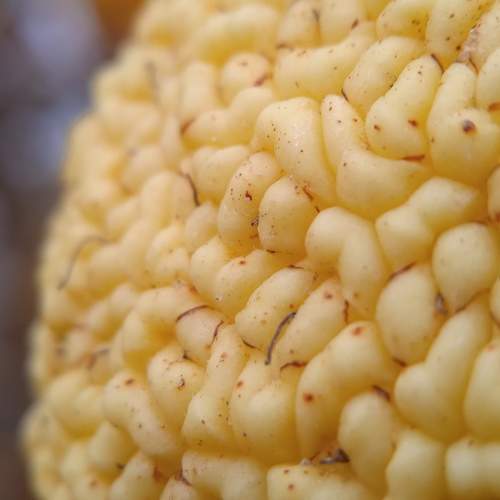 Photo #9750424
