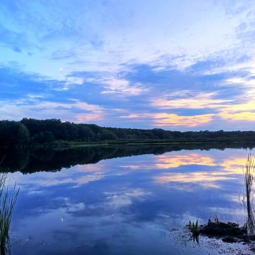 Photo #9750874