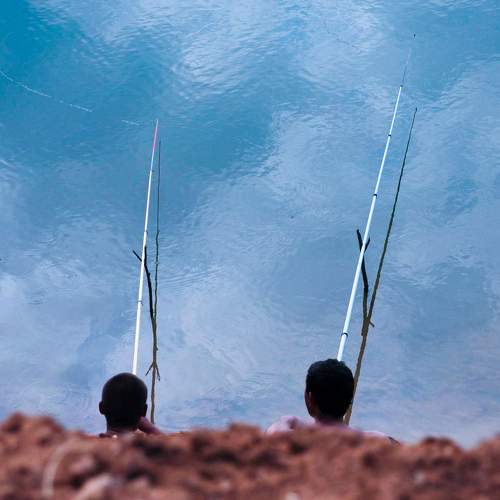 Photo #9750976