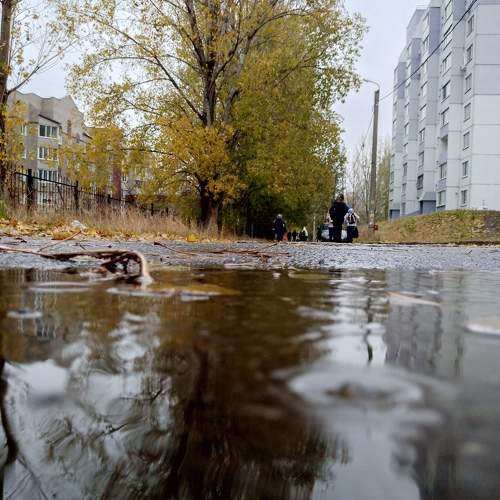 Photo #9751073