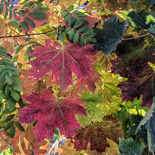 Photo #9751097