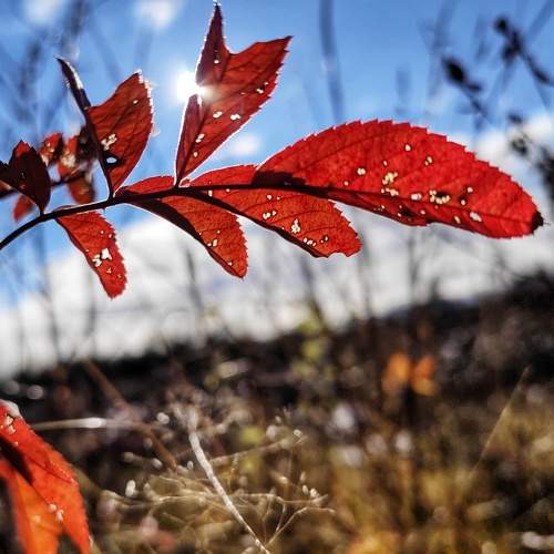 Photo #9751098