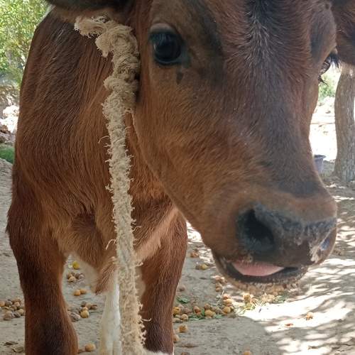 Photo #9751206